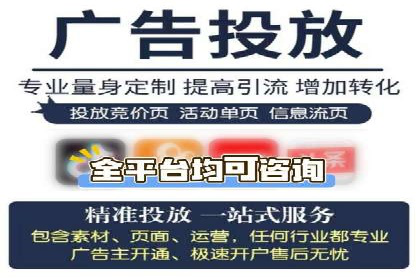 百度竞价排名实战：某行业领先企业的成功之路